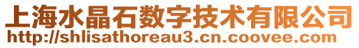 上海水晶石數(shù)字技術(shù)有限公司