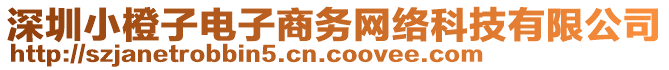 深圳小橙子電子商務(wù)網(wǎng)絡(luò)科技有限公司