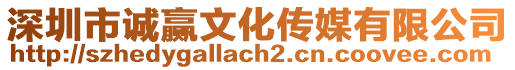 深圳市誠贏文化傳媒有限公司