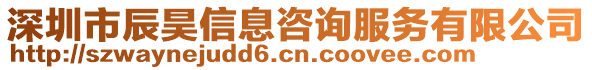 深圳市辰昊信息咨詢服務有限公司