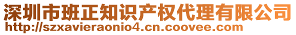 深圳市班正知識產(chǎn)權(quán)代理有限公司