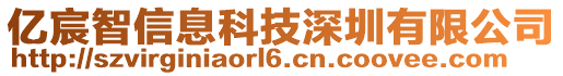 億宸智信息科技深圳有限公司