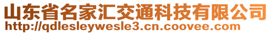 山東省名家匯交通科技有限公司