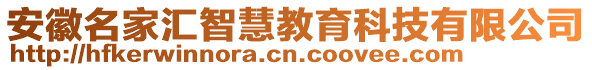 安徽名家匯智慧教育科技有限公司