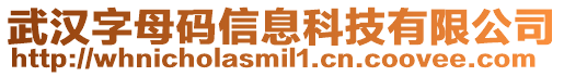 武漢字母碼信息科技有限公司