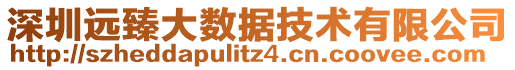 深圳遠臻大數(shù)據(jù)技術(shù)有限公司