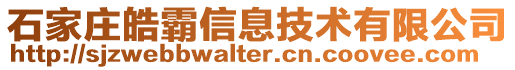 石家莊皓霸信息技術有限公司