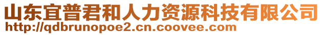 山東宜普君和人力資源科技有限公司