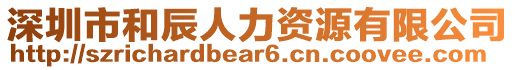 深圳市和辰人力資源有限公司