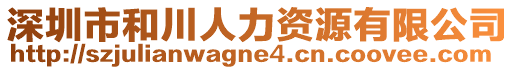 深圳市和川人力資源有限公司