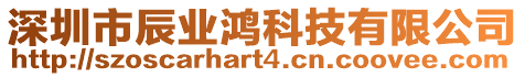 深圳市辰業(yè)鴻科技有限公司