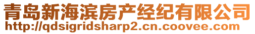 青島新海濱房產(chǎn)經(jīng)紀(jì)有限公司