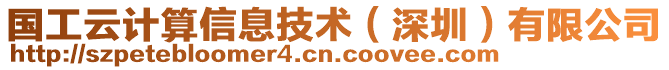 國(guó)工云計(jì)算信息技術(shù)（深圳）有限公司