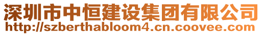 深圳市中恒建設集團有限公司