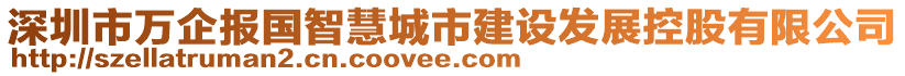 深圳市万企报国智慧城市建设发展控股有限公司