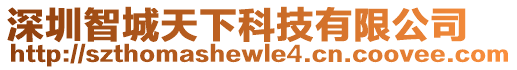 深圳智城天下科技有限公司