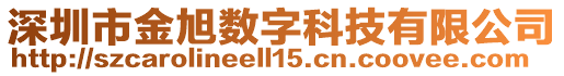 深圳市金旭數(shù)字科技有限公司