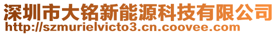 深圳市大銘新能源科技有限公司