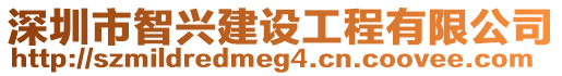 深圳市智興建設(shè)工程有限公司