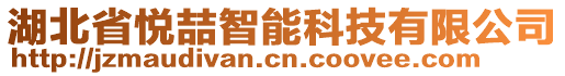 湖北省悅喆智能科技有限公司