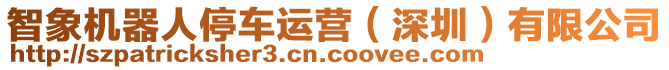 智象機(jī)器人停車運(yùn)營(yíng)（深圳）有限公司