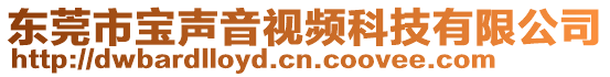 東莞市寶聲音視頻科技有限公司