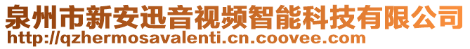 泉州市新安迅音視頻智能科技有限公司