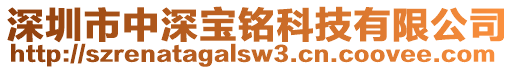 深圳市中深寶銘科技有限公司