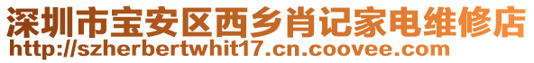 深圳市寶安區(qū)西鄉(xiāng)肖記家電維修店