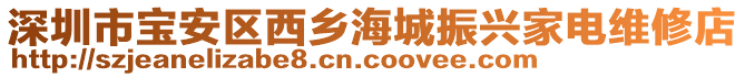 深圳市寶安區(qū)西鄉(xiāng)海城振興家電維修店