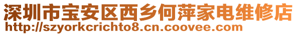 深圳市寶安區(qū)西鄉(xiāng)何萍家電維修店