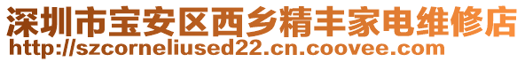 深圳市寶安區(qū)西鄉(xiāng)精豐家電維修店