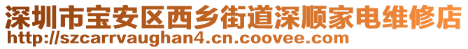 深圳市寶安區(qū)西鄉(xiāng)街道深順家電維修店