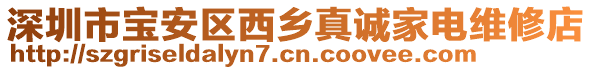 深圳市寶安區(qū)西鄉(xiāng)真誠(chéng)家電維修店