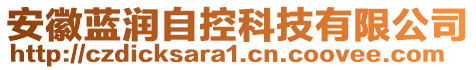 安徽藍(lán)潤自控科技有限公司