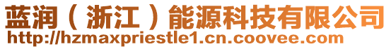 藍(lán)潤(rùn)（浙江）能源科技有限公司