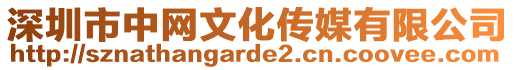 深圳市中網(wǎng)文化傳媒有限公司