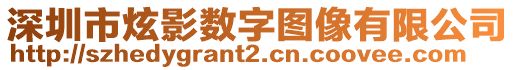 深圳市炫影數(shù)字圖像有限公司