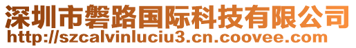 深圳市磐路國際科技有限公司