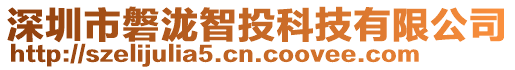 深圳市磐瀧智投科技有限公司