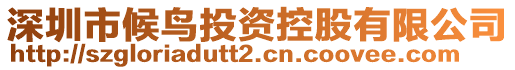 深圳市候鳥投資控股有限公司