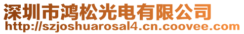 深圳市鴻松光電有限公司