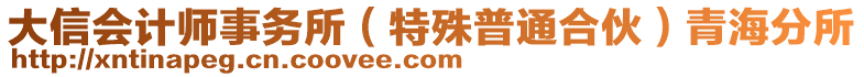 大信會計師事務(wù)所（特殊普通合伙）青海分所