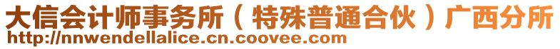 大信會(huì)計(jì)師事務(wù)所（特殊普通合伙）廣西分所