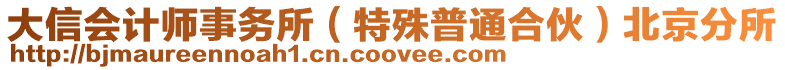 大信會計師事務(wù)所（特殊普通合伙）北京分所