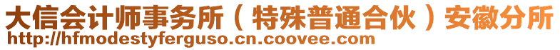 大信會(huì)計(jì)師事務(wù)所（特殊普通合伙）安徽分所