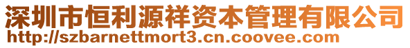 深圳市恒利源祥資本管理有限公司