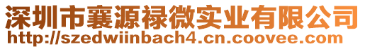 深圳市襄源祿微實業有限公司