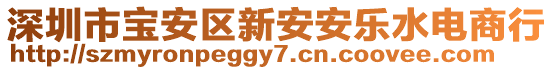 深圳市寶安區(qū)新安安樂水電商行