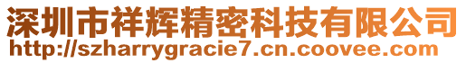 深圳市祥輝精密科技有限公司